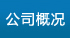 公司簡介
